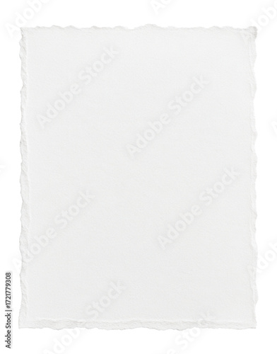 Torn white sheet of paper with ripped edges.