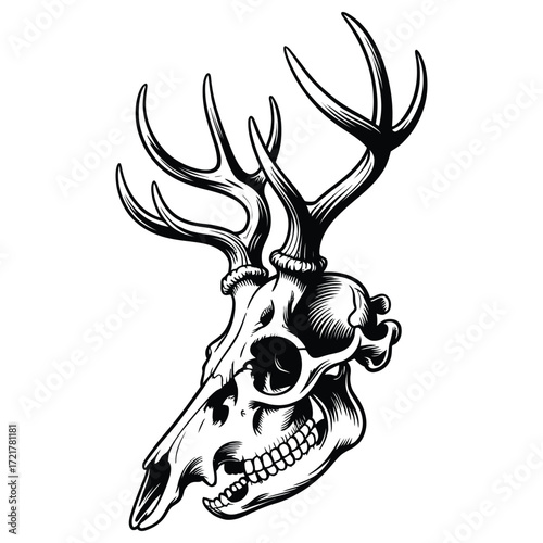 deer head silhouette