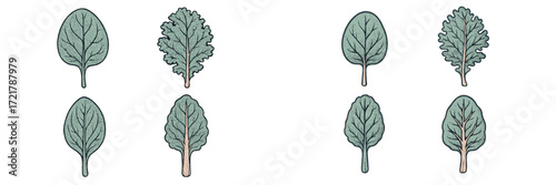 Different types of leafy greens in a simple, artistic style showcasing their unique shapes and textures