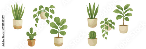 Indoor plants in simple pots arranged artistically on a white background showcasing various types and shapes