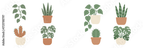 Various indoor plants in modern pots arranged in an artistic display for home decor enhancement