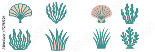 Various sea plants and shells arranged in a clean, modern design suitable for nature-themed decor or educational materials