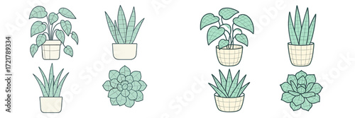 Indoor plants arranged in decorative pots in a modern style, showcasing various species and shapes