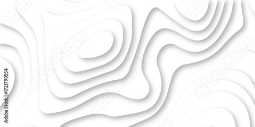 Abstract Luxury diamond creative topography map background vector natural shadow papercut web topography map spiral line. white light dynamic smooth cover origami papercut texture background.	
