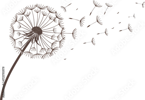 Realistic dandelion seed head blowing in the wind eps vector illustration scalable