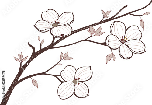 Elegant dogwood branch with delicate pale blooms vector illustration for design projects
