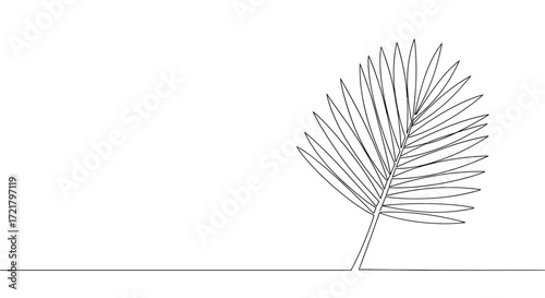 Minimalist line drawing of palm leaf on white background  
