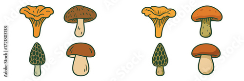 Various colorful mushroom illustrations displayed on a white background, showcasing a range of shapes and sizes