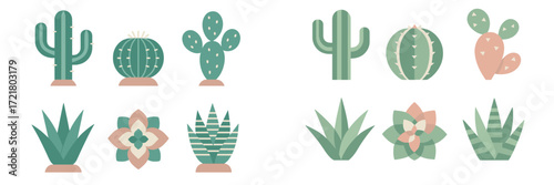 Colorful collection of various cactus and succulent plants in a simple design style