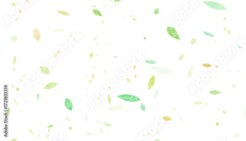 Fotografie 風で舞う葉の素材・背景・透過PNG