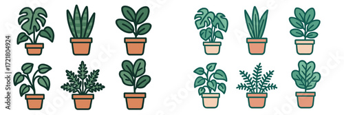 Various types of potted plants displayed in simple designs showing greenery and vibrant leaves