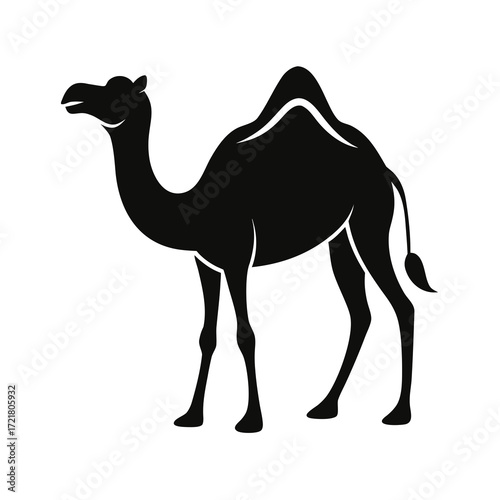 camel on the white