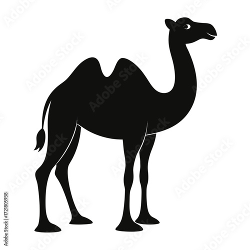 camel in the desert