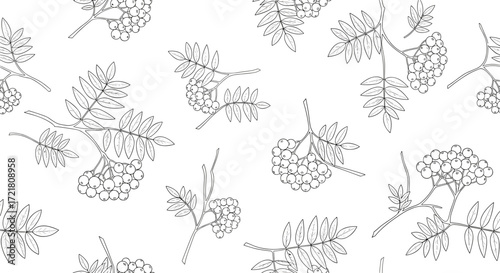 A delicate pattern of rowan berries and leaves in a sketchy artistic style.