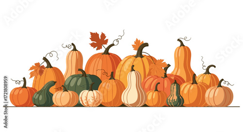A bountiful harvest of pumpkins gourds and squash for autumn decoration.