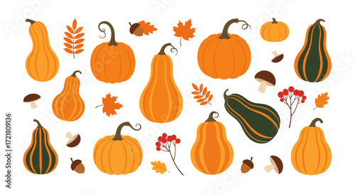 A colorful collection of various gourds and pumpkins arranged in a festive autumn display.