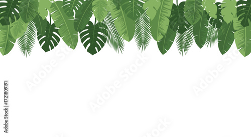 An abundance of lush green tropical leaves drapes across the top of the image.