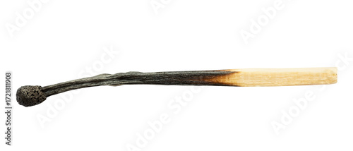 Quadro su tela charred household wooden match isolated