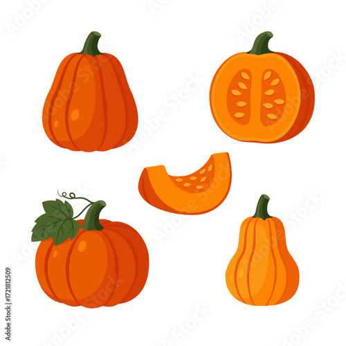 Collection of assorted orange pumpkins in different shapes and slices isolated flat vector illustration