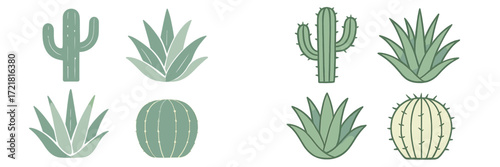 Various plants arranged in a clean design featuring different types of cacti and succulents on a simple background