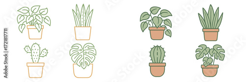 Indoor plants display featuring various popular species in ceramic pots captured in bright, simple style and soft colors