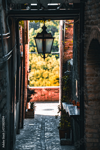 Palm Tower center , the medieval city near Fermo in the Marche region