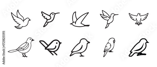 Simple cartoon bird line icon, beautiful bird silhouette, little birds in different poses,  Vector illustration EPS 10.
