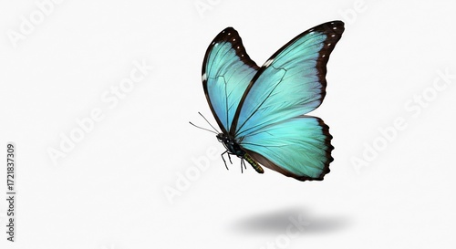 Blauer Schmetterling schwebt sanft vor weissem Hintergrund zarte Fl�gel leuchtend. AI Generated