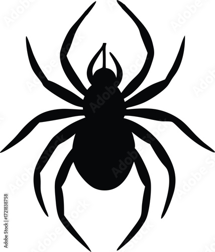 the-black-spider-descends-and-ascends-on-a-rope--t (6).eps