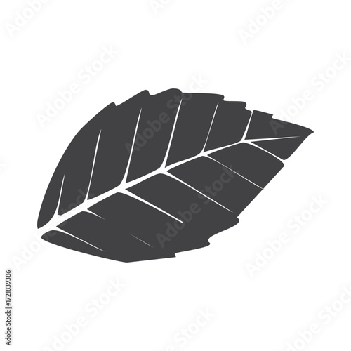 Elegant Dark Grey Leaf Silhouette Illustration Nature, Botany, Ecology, Design Element, Vector