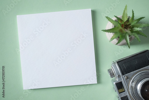 Empty white blank greeting or invitation card, vintage camera, cactus on green background.