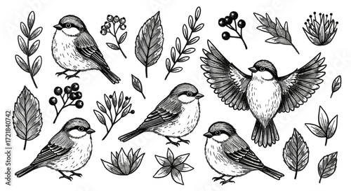 sketched sheet of flying birds and flowers, featuring a set of spring animals like sparrows, owls, and ducks in a colorful illustration