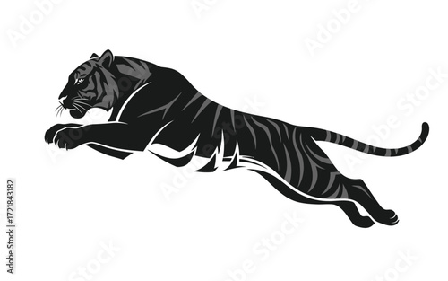Vectorized tiger for commercial print, sketch, drawing and decoration.