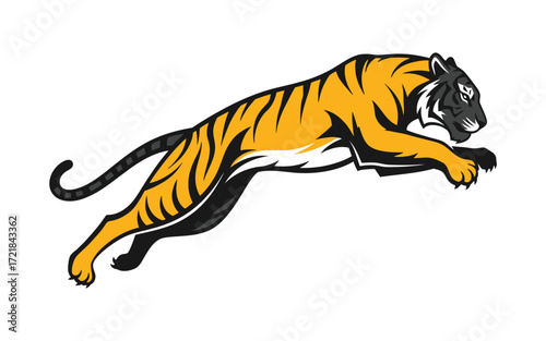 Vectorized tiger for commercial print, sketch, drawing and decoration.