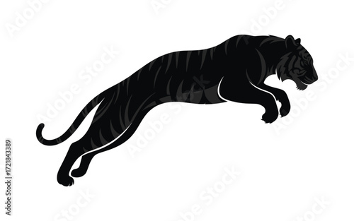 Vectorized tiger for commercial print, sketch, drawing and decoration.