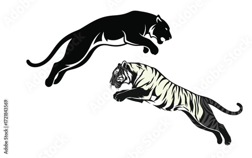Vectorized tiger for commercial print, sketch, drawing and decoration.