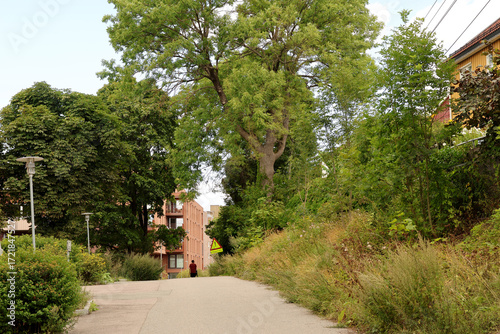Street