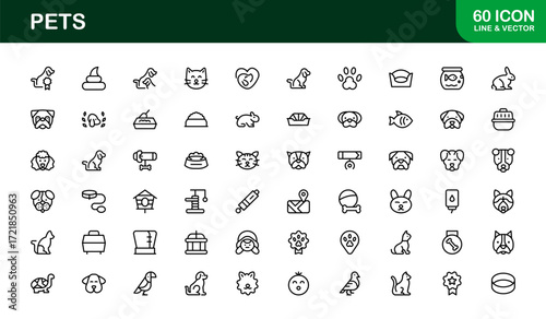 Flat and Outline Pets Icons Set. Includes animals, toys, grooming tools, and food bowls in a professional modern style for digital and lifestyle use.