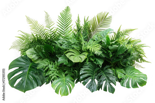 Lush green monstera and fern foliage arrangement with dark background isolated on a transparent background