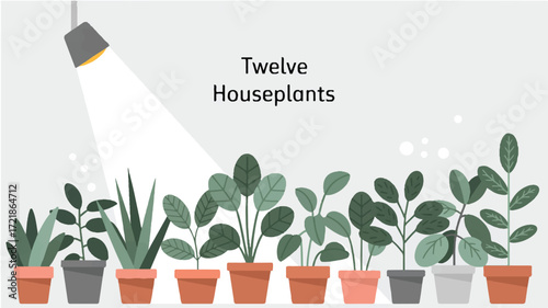 Vector art of a row of twelve houseplants under a spotlight