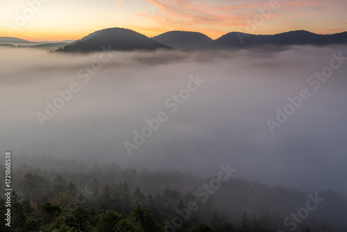 Neblige Täler im Pfälzerwald vom Nesselberg in Lug mit Geiersteinen im goldenen Morgenlicht
