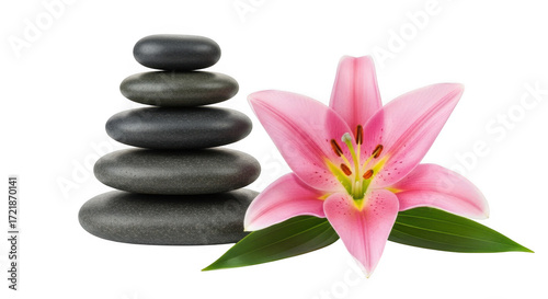 Zen stones and pink lily isolated on transparent background