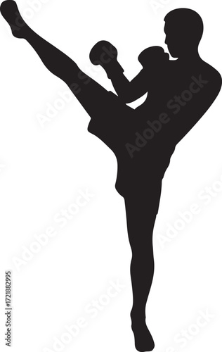Silhouette of a martial artist executing a high kick combat