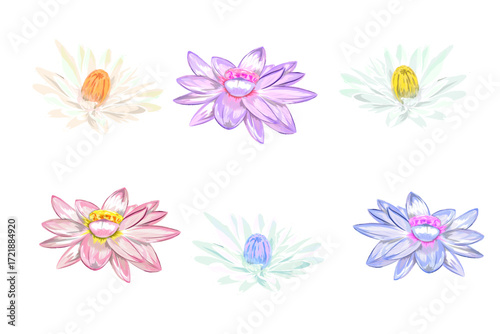 collection of colorful lotus flowers without background
