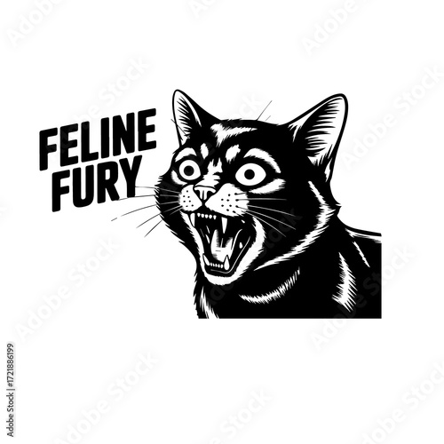 Feline fury black cat with an angry expression isolated on white background