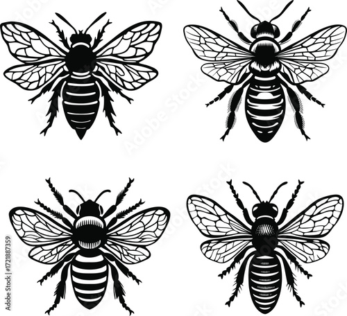 vintage style black and white bee illustrations on white background