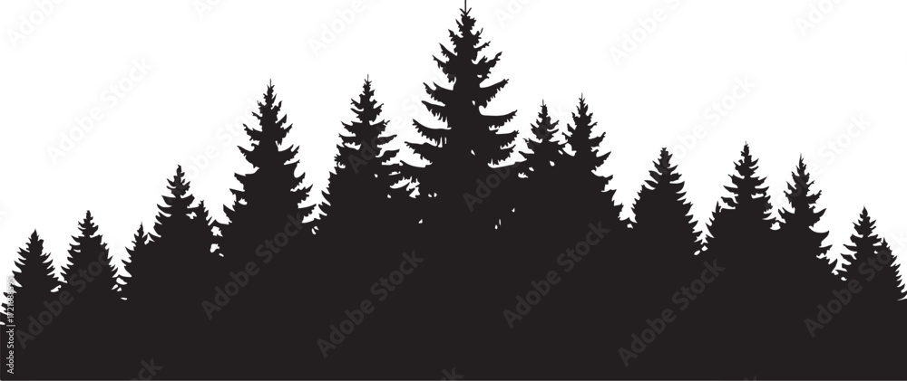 Obraz premium Silhouette of a Forest