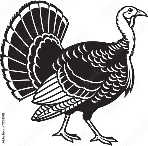 Three stylized black turkeys with detailed feathers standing in a row on a white background, displaying their plumage in various poses