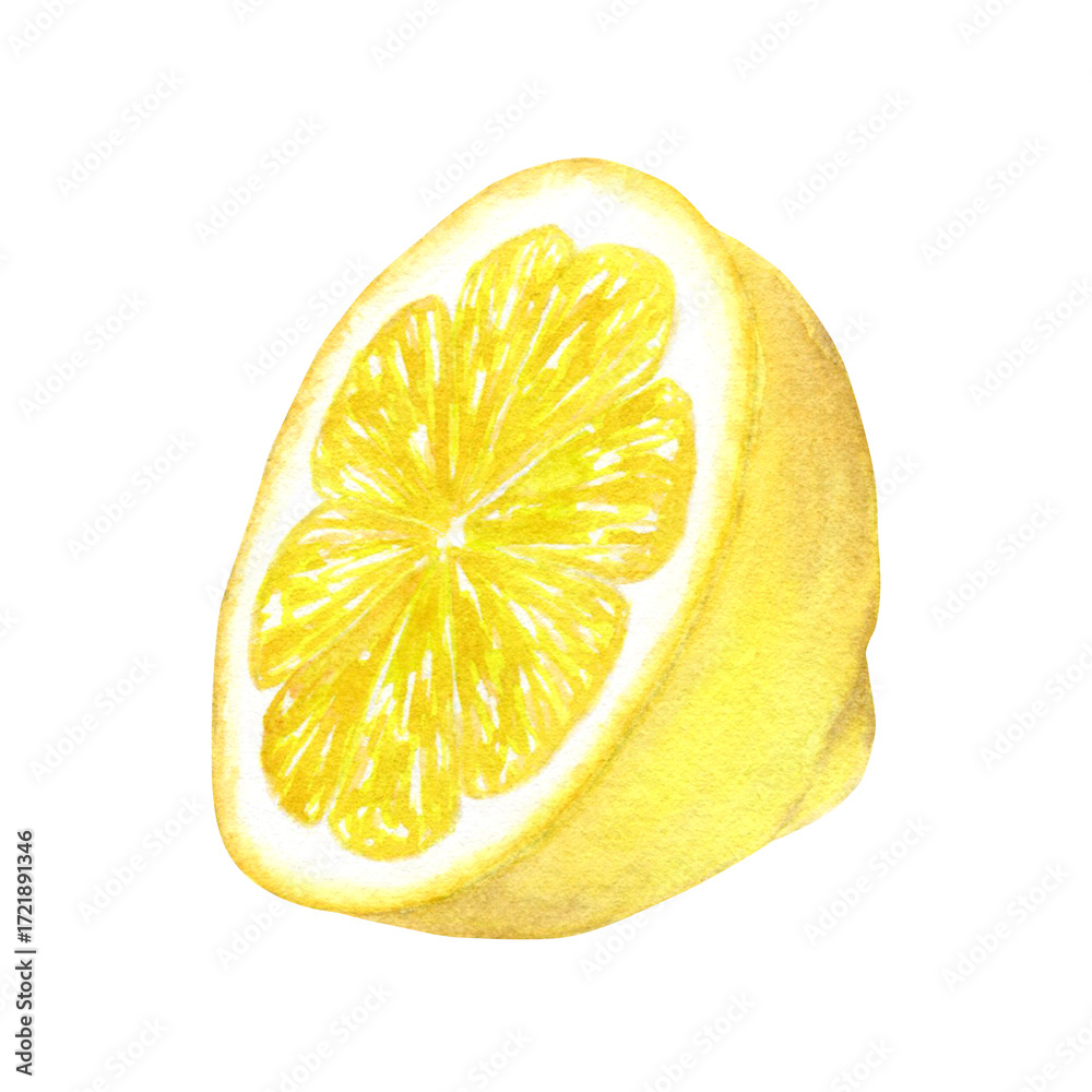 custom made wallpaper toronto digitalHalf a lemon, watercolor illustration of a tropical fruit. Hand drawn isolated on a white background. Suitable for the design of menus, packaging, cosmetics, cards.