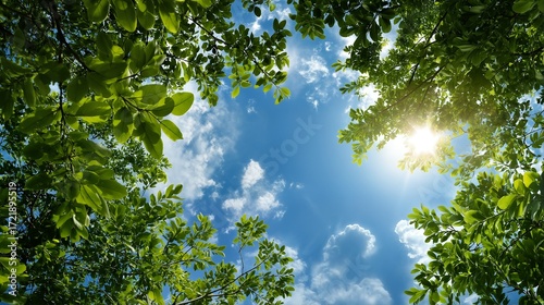 a vibrant view looking up through lush green leaves toward a bright sunlit sky with scattered clouds.